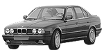 BMW E34 B0491 Fault Code
